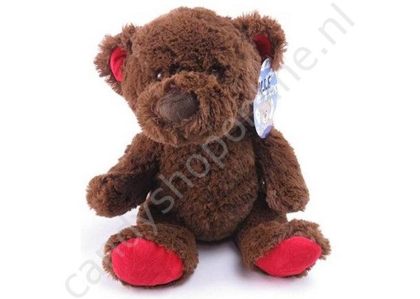 Pluche Bruine Beer 30cm met snoepzak