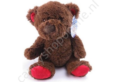 Pluche Bruine Beer 30cm met snoepzak
